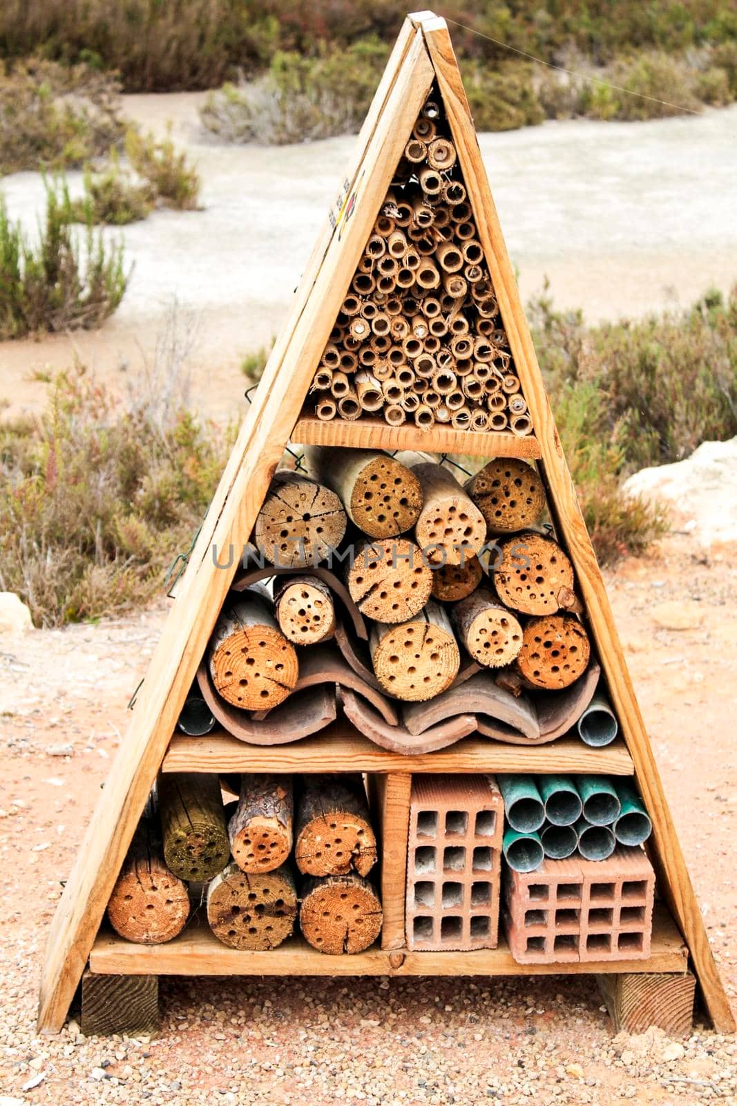 Insect Hotel in the wetlands of the salt flat of Santa Pola, Spain