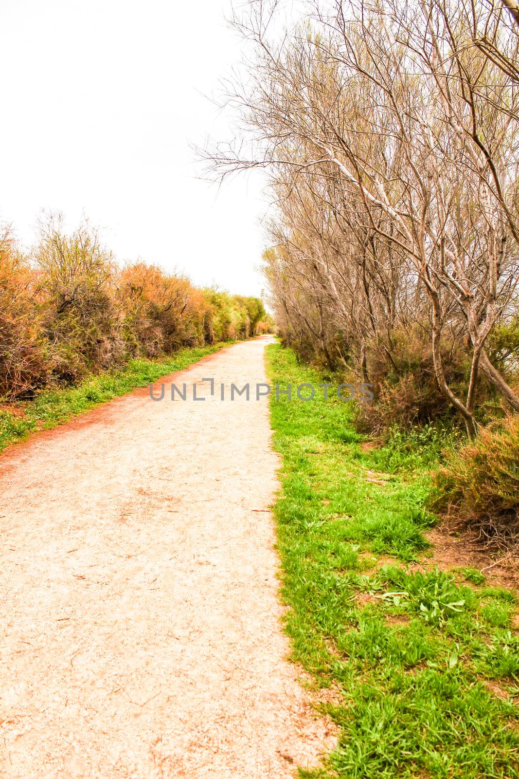 Path between vegetation on a cloudy day in Santa Pola, Spain
