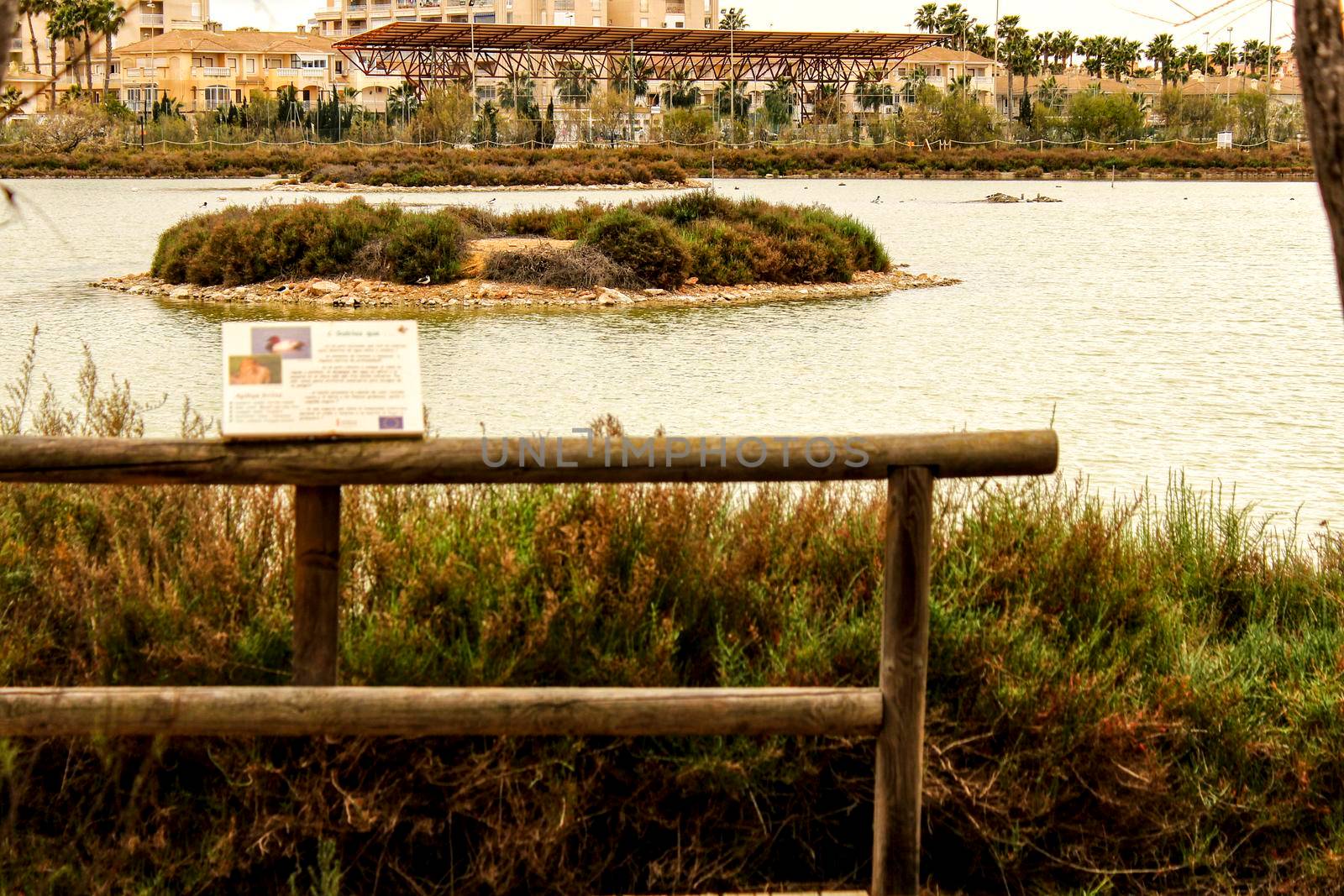 Wetlands of Santa Pola on a cloudy day of winter. Santa Pola in the background