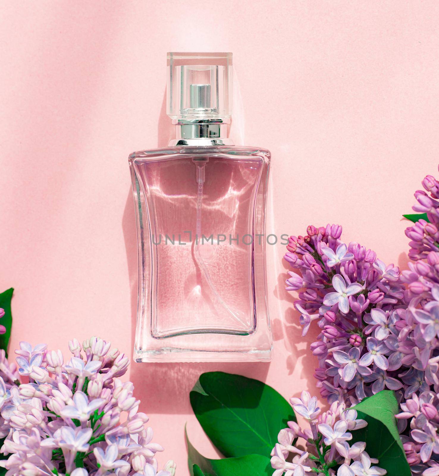 A bottle of perfume and lilac on a pink background . Women's perfume. Spring fragrance. Aromatherapy. Nice smell. Beauty and fashion. Article about the choice of fragrance. An article about current flavors . copy space. A branch of lilac. Nature