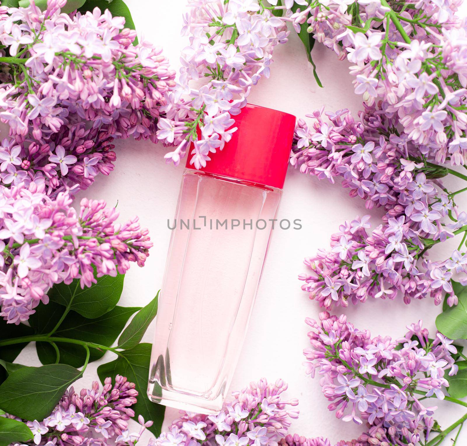 A bottle of perfume and lilac on a white background . Women's perfume. Spring fragrance. Aromatherapy. Nice smell. Beauty and fashion. Article about the choice of fragrance. An article about current flavors . copy space. A branch of lilac. Nature