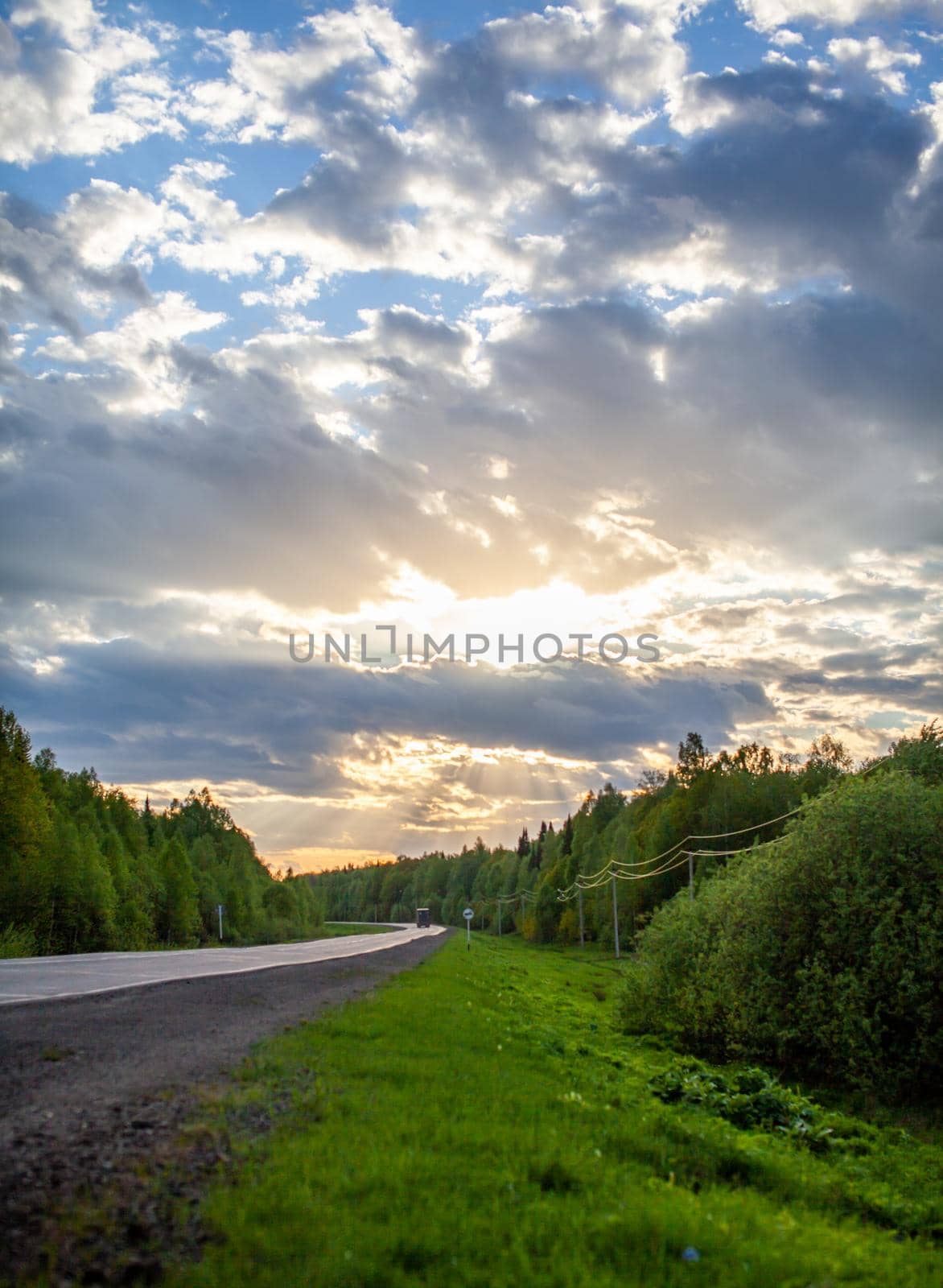 Country road with markings in the middle of the forest. Path and forward movement in the sun. Beautiful, green forest in the spring at sunset. Concept for success in the future goal and passing time