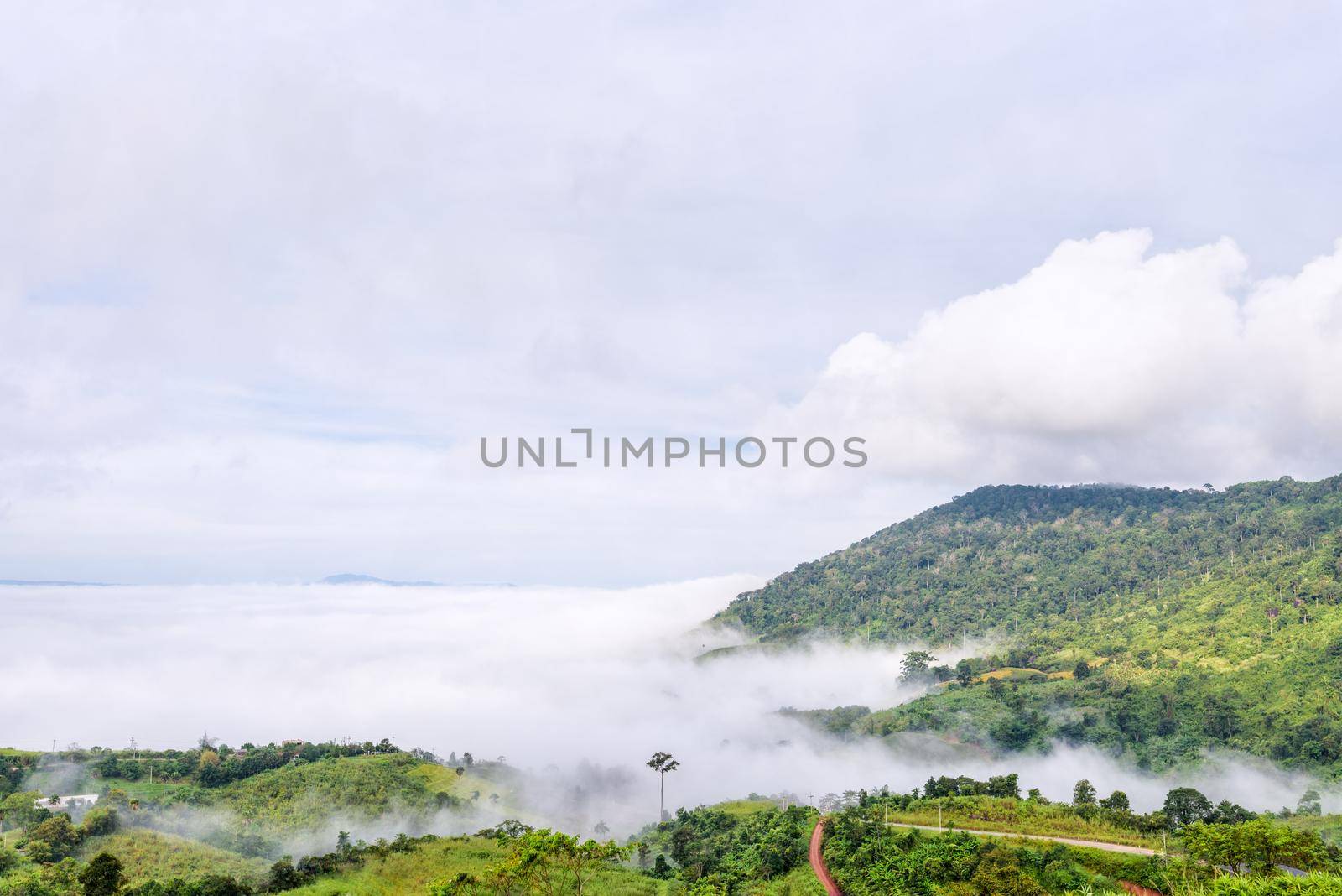 Beautiful nature landscape fog in the valley and the green mountain at the high angle viewpoint. Famous tourist attractions at Khao Kho district, Phetchabun province Thailand