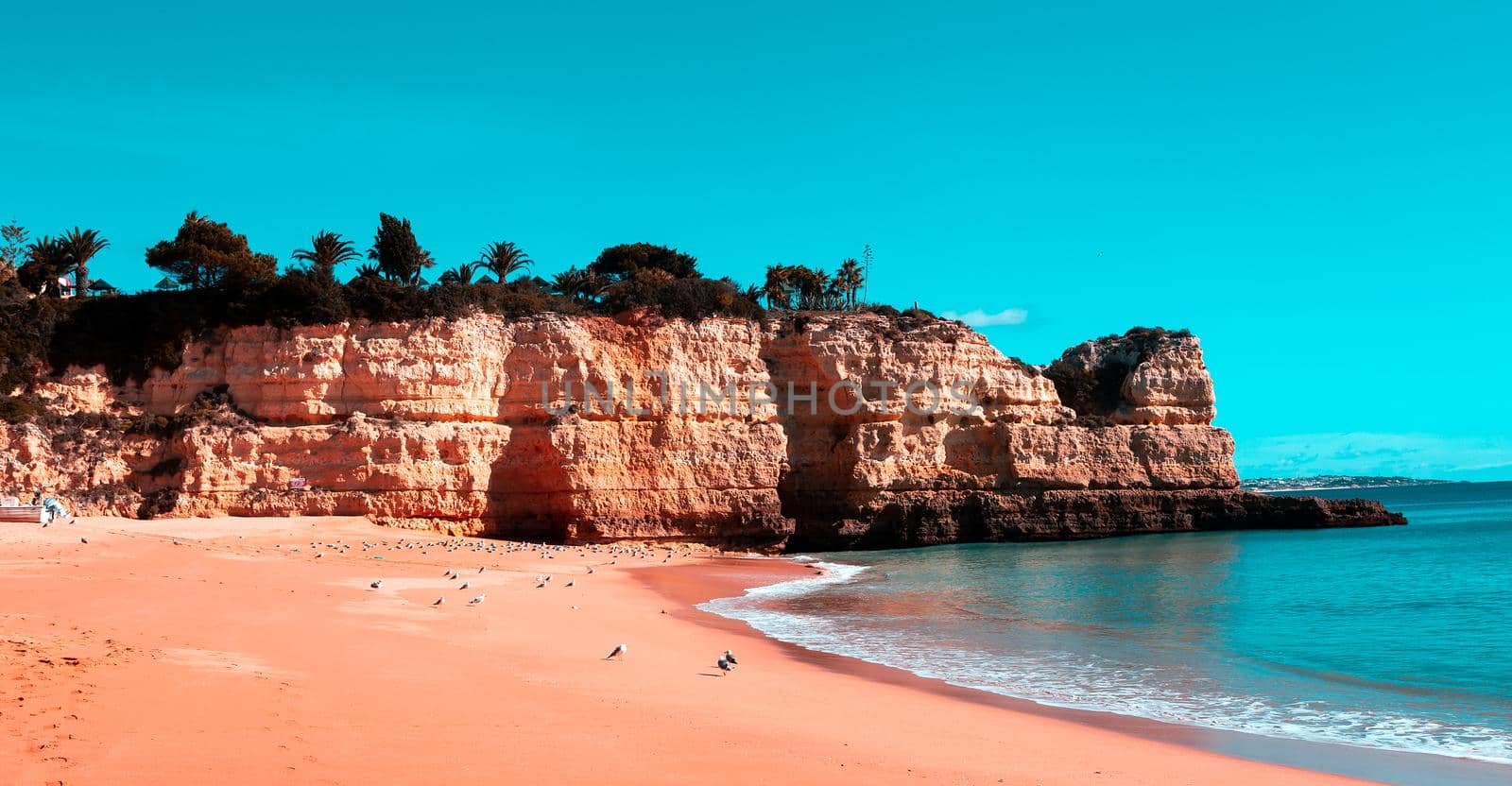 Senhora da rocha beach, Algarve, Portugal by photogolfer