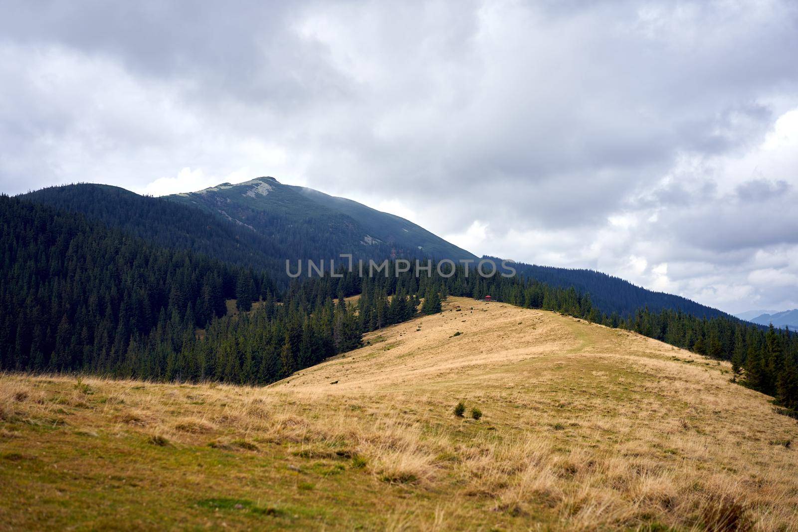 mountain landscape with cloud sky Carpathian Ukraine Beautiful landscape view