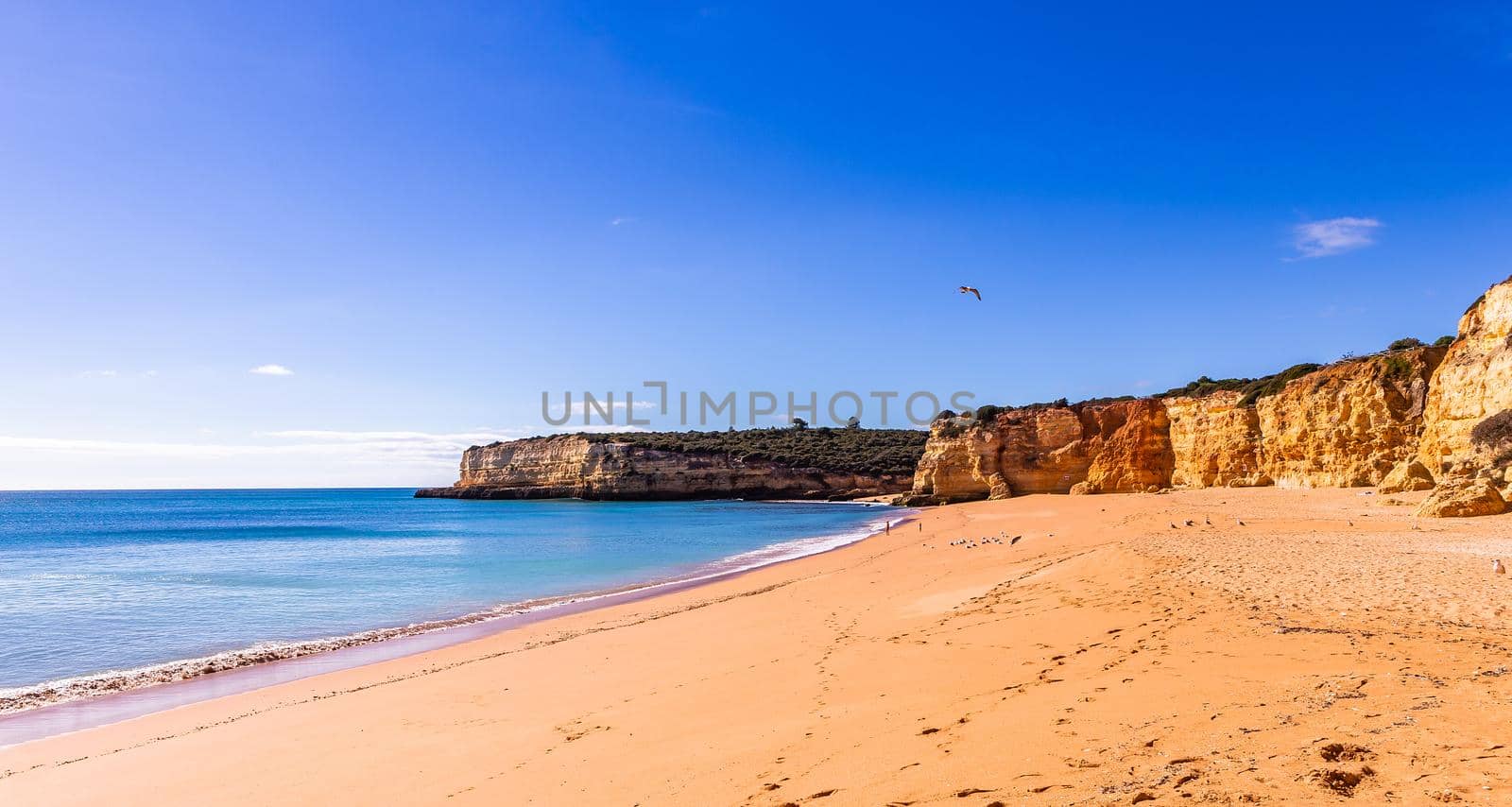 Beach and cliffs of Senhora da rocha, in Lagoa, Algarve, Portugal