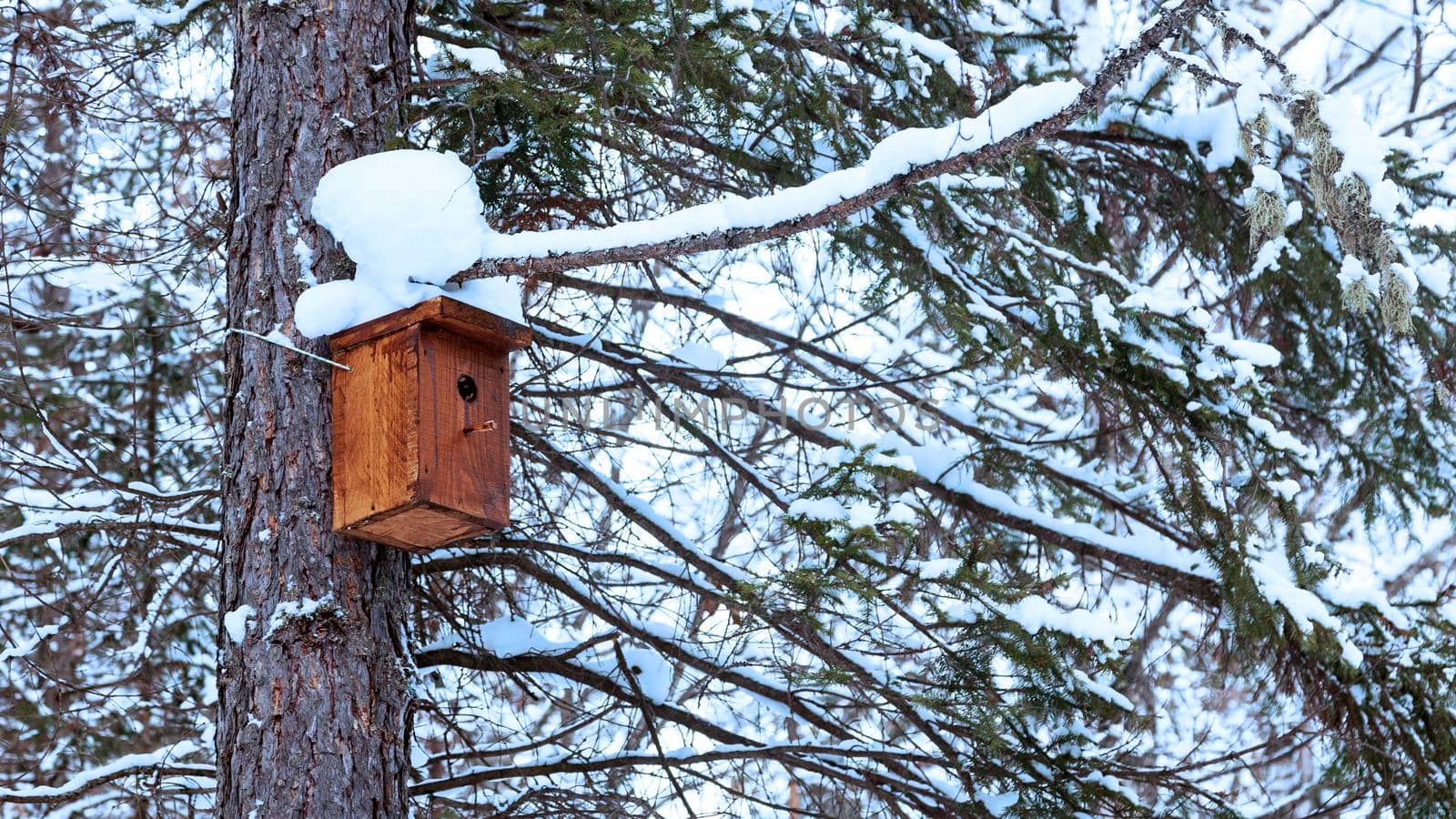 Snowcovered birdhouse on a tree trunk. Winter