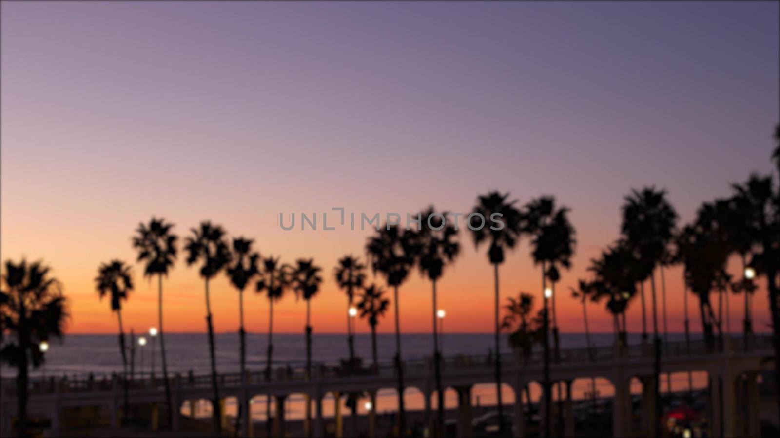Blurred palms silhouette, twilight sky, California USA, Oceanside pier. Dusk gloaming nightfall atmosphere. Tropical pacific ocean beach, sunset afterglow aesthetic. Dark palm tree, Los Angeles vibes.
