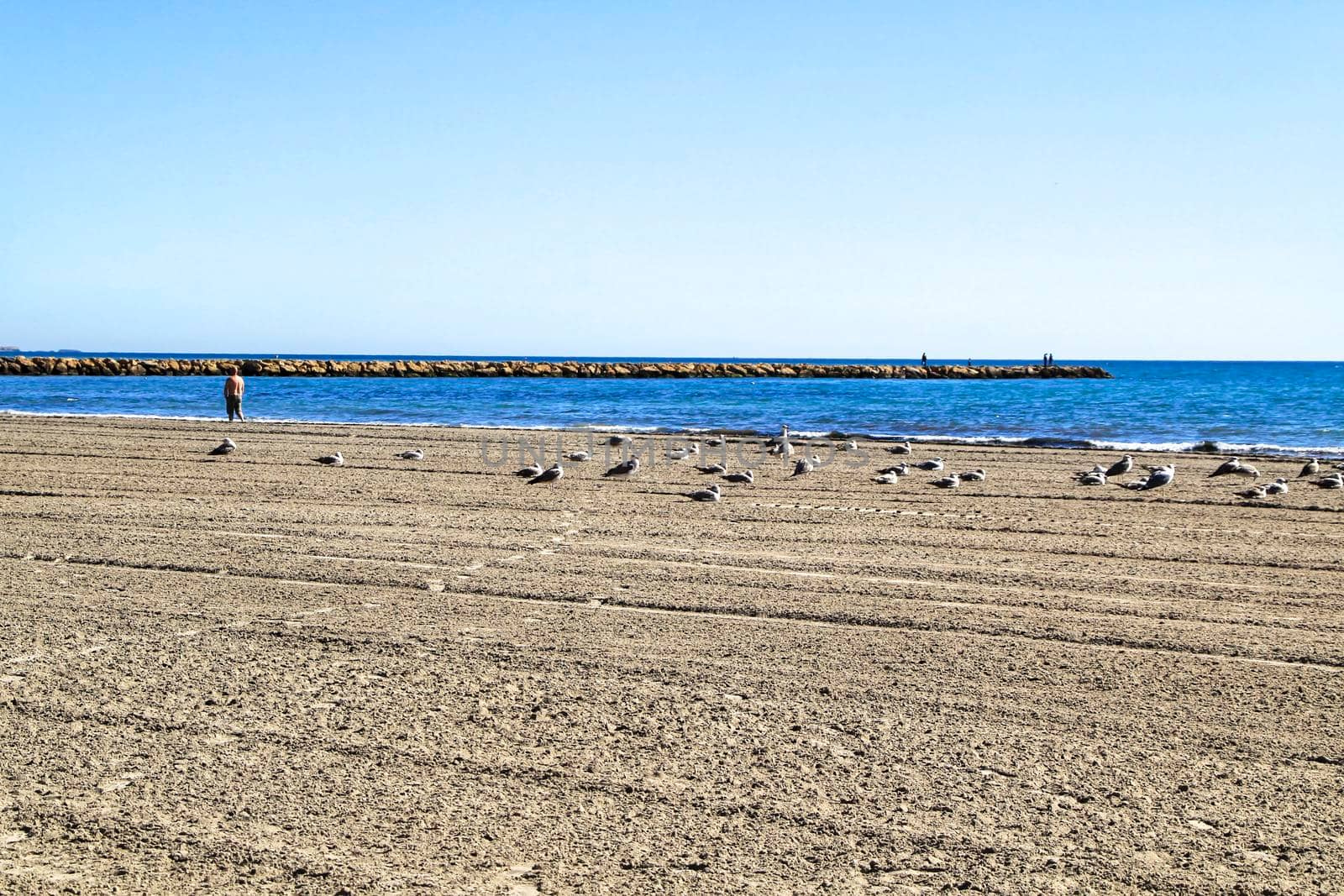 Sunny day on the beach in winter in Santa Pola, Alicante