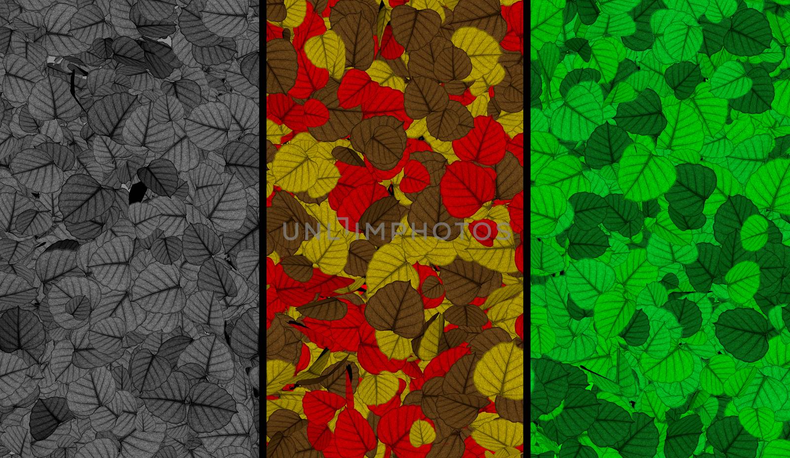 Autumn leaves variety seasonal background concept design 3d rendering 