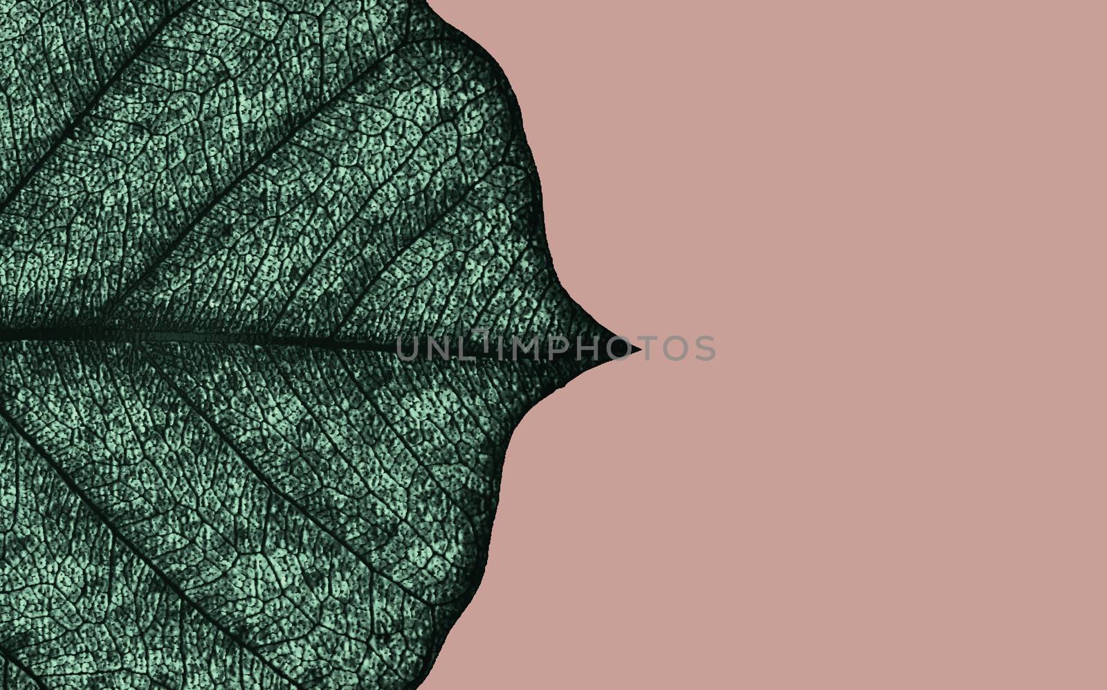 Leaf natural background concept close-up texture 3d rendering by F1b0nacci