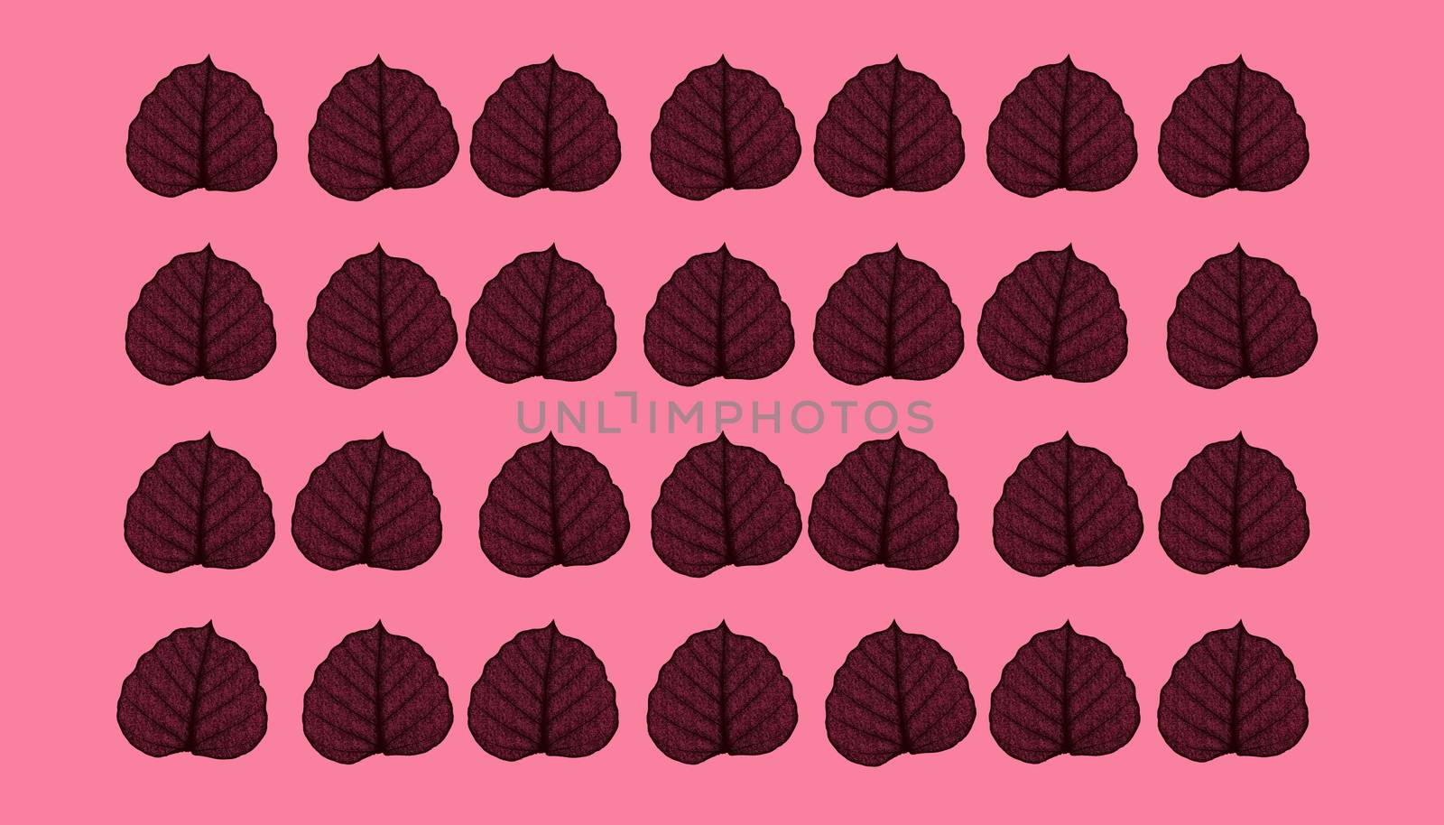 Leaf natural background concept 3d rendering isolated