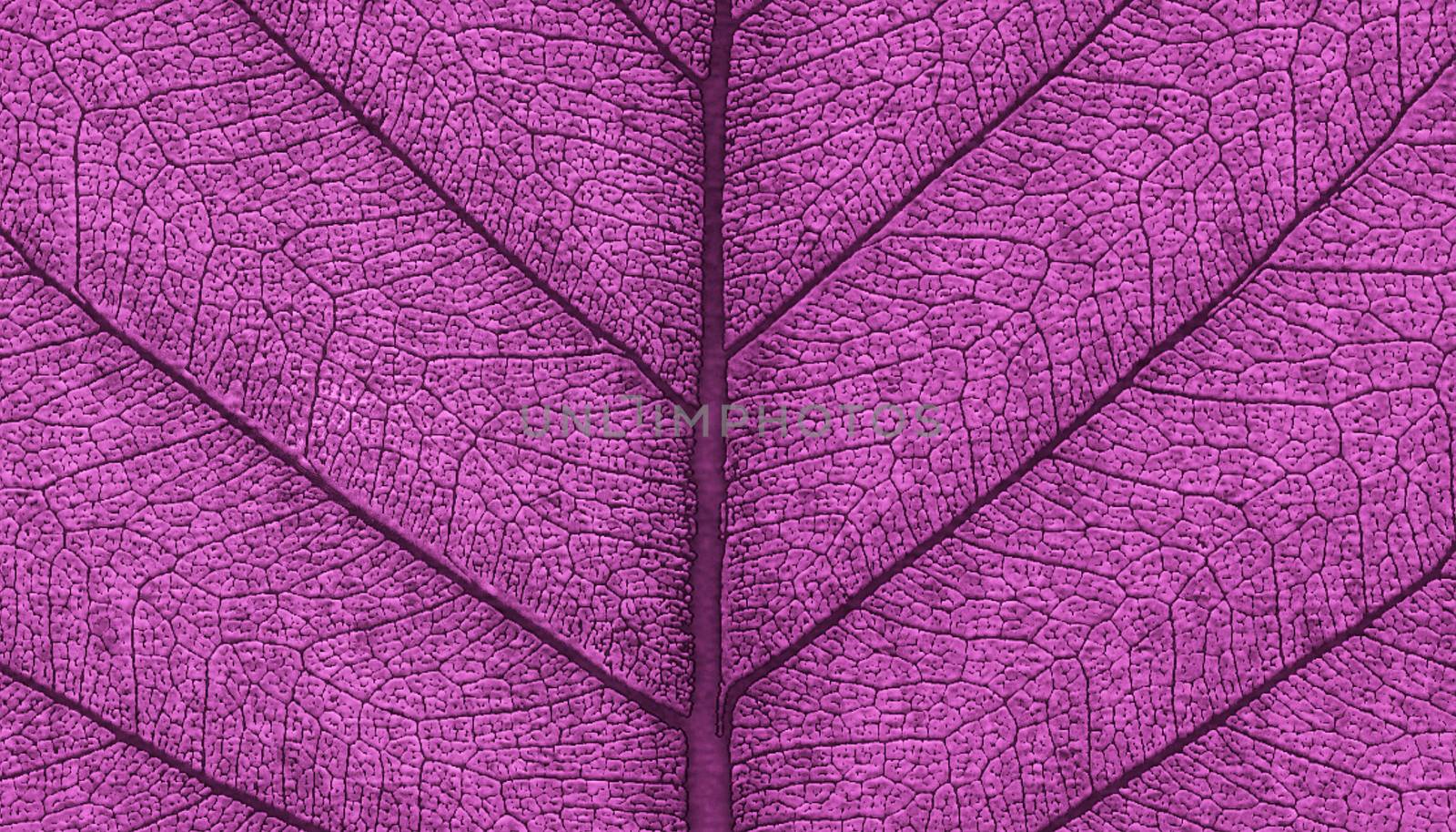 Leaf natural background zoomed texture 3d rendering by F1b0nacci