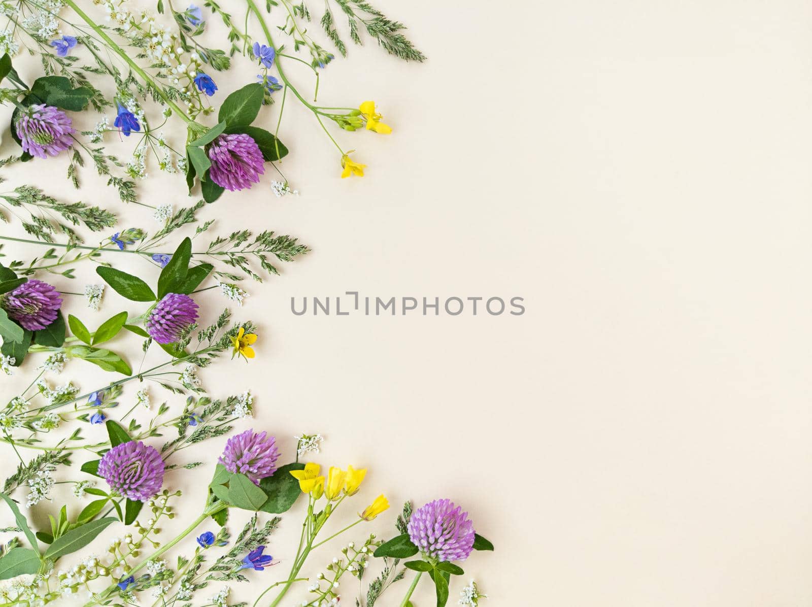 Mix of wildflowers on a beige background with copy space.