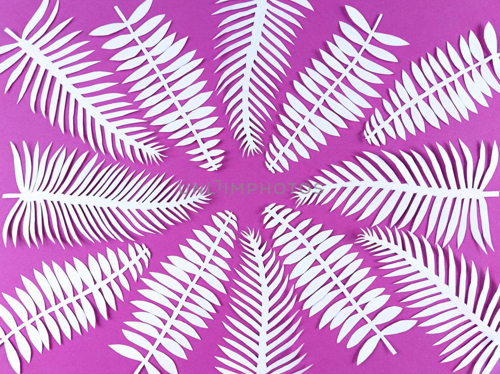 White paper cut leaves on a pink background.