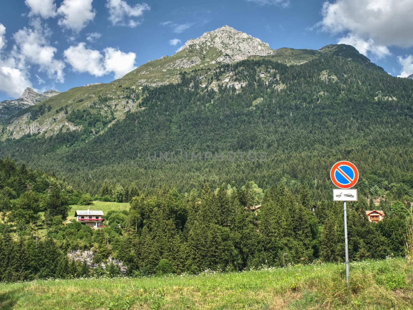 Beutiful summer Alps mountains, clouds above peaks and forest in foreground,