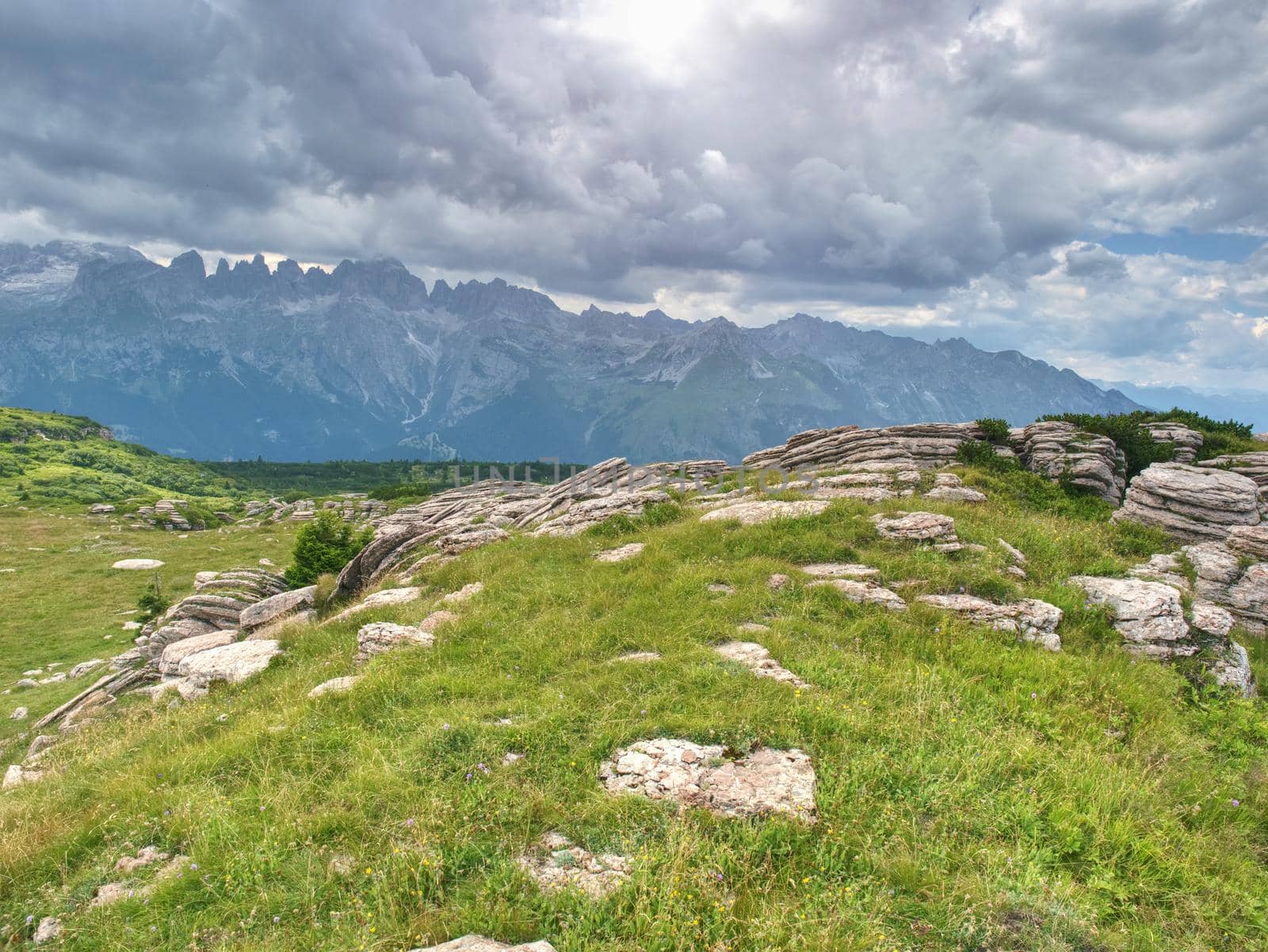 Beutiful summer Alps mountains, clouds above peaks and forest in foreground,