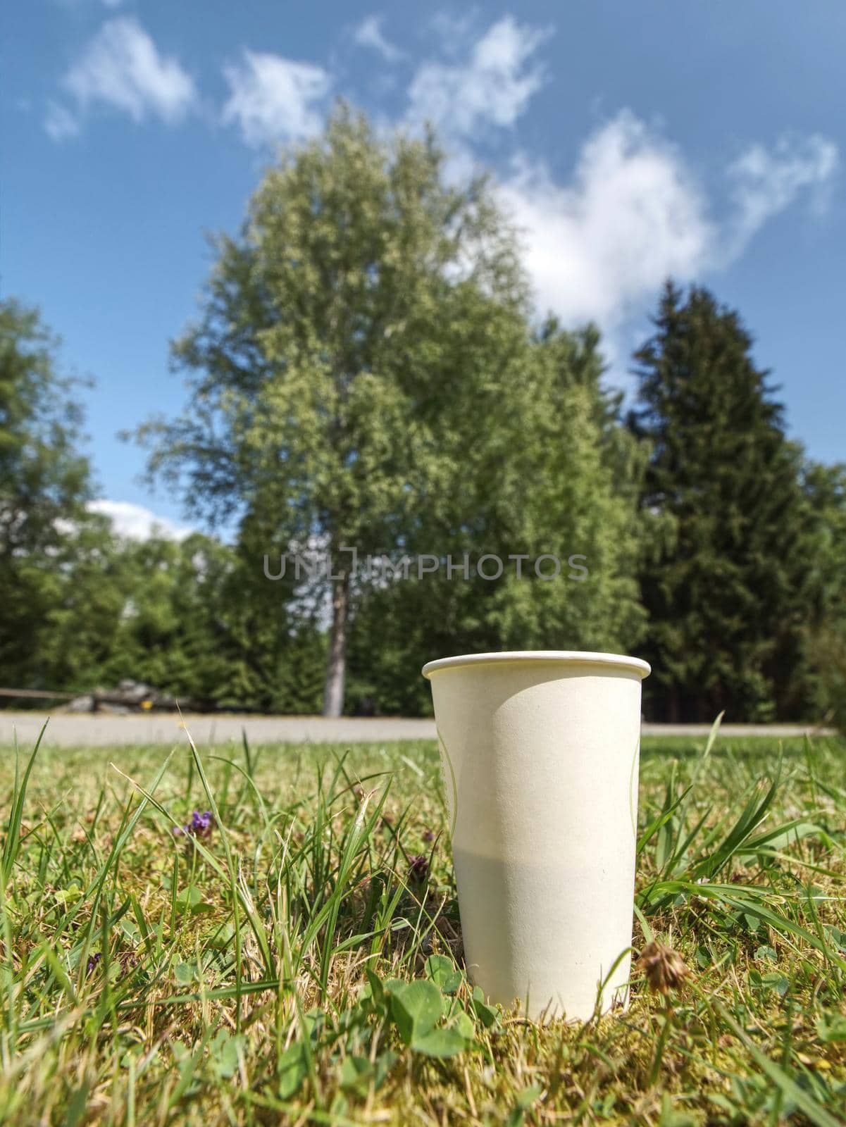 Holiday coffee cup. Aromatic coffee in takeaway paper cup in grass