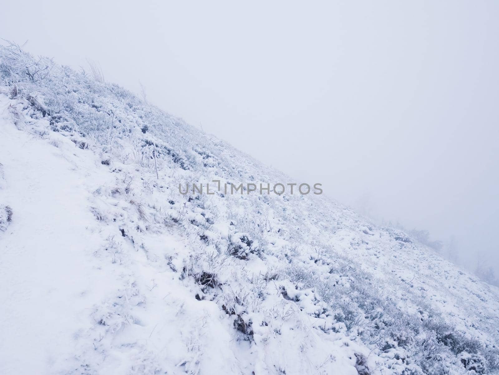 Brash hillside. extreme terrain with fresh powder snow, path hidden in heavy fog. by rdonar2