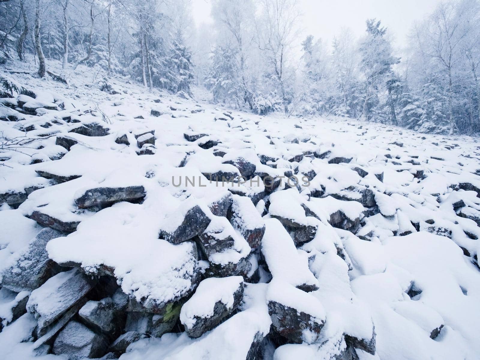 Close up to rocky terrain with fresh powder snow, landscape hidden in heavy fog. Misty winter day