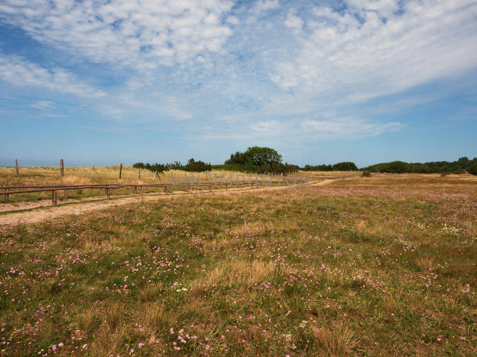 Rural scottish meadows in summer at coastline. Travel destinations