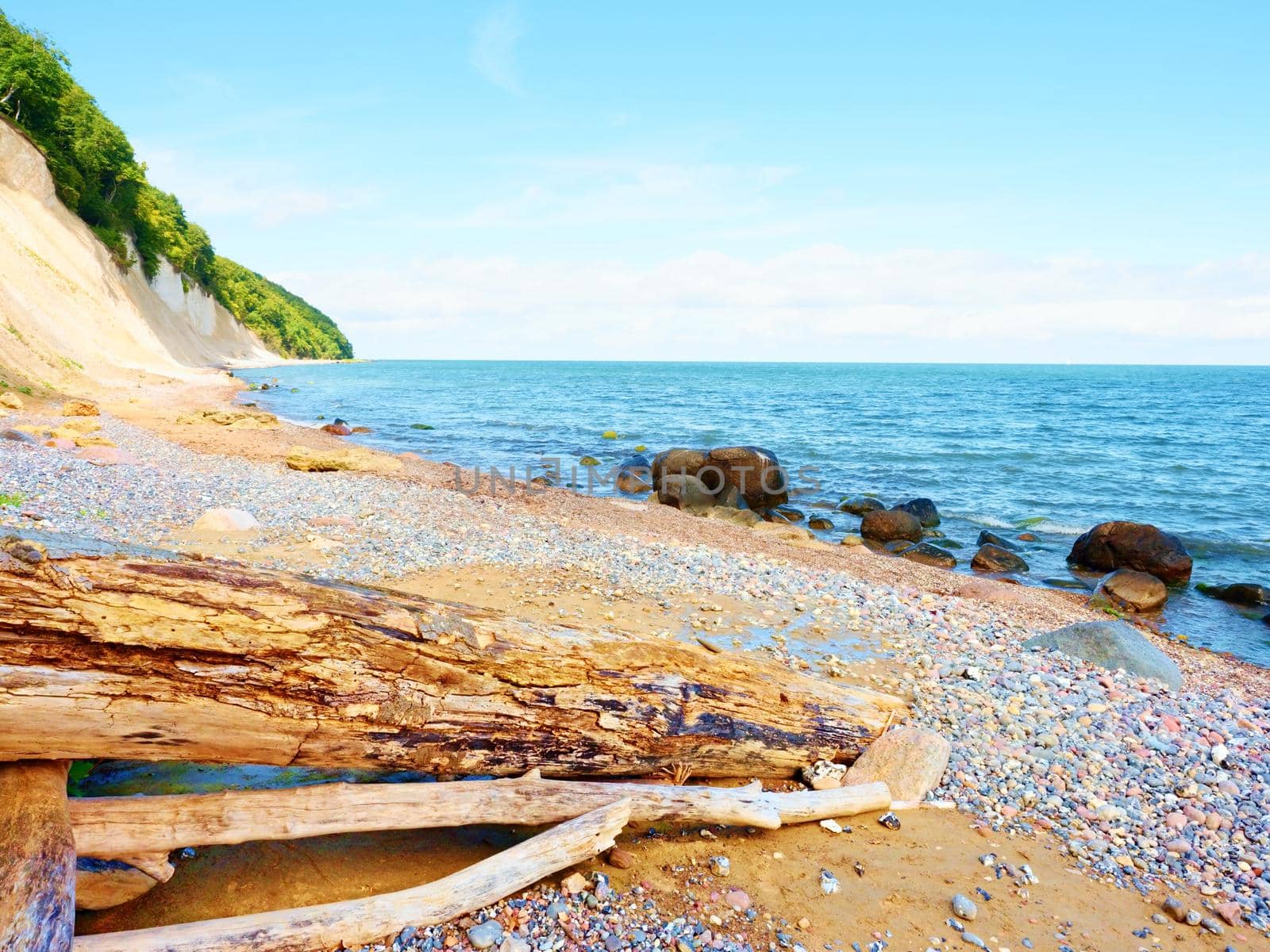 Blue sky above sea level. Fallen tree on stony coastline by rdonar2