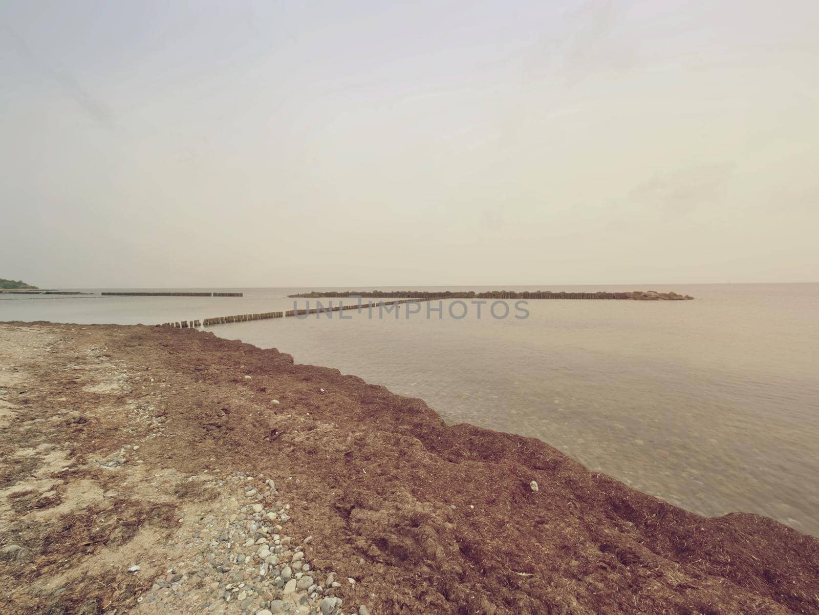 Wooden breakwaters on a shore of the Baltic Sea with a sun hidden in low clouds. Smooth water level after storm.