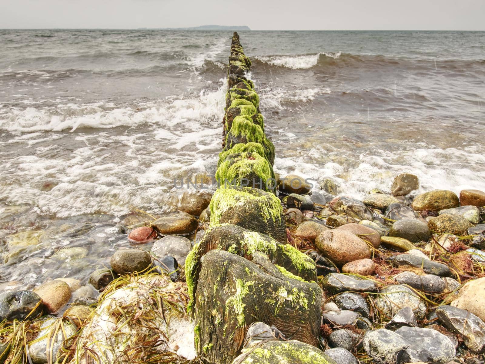 The row of old wooden piles as  breakwater in front of the stony beach by rdonar2