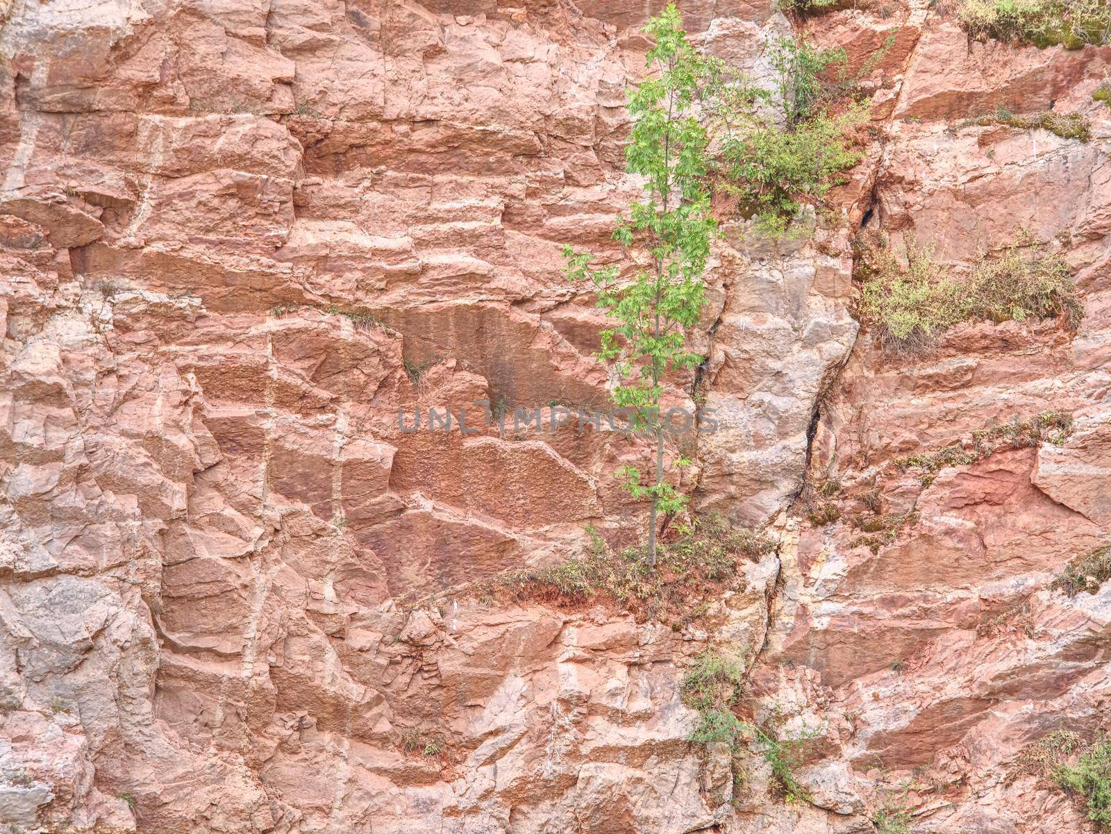 Ancient multi-layered lime and feric lines in wall surface of mine rocks