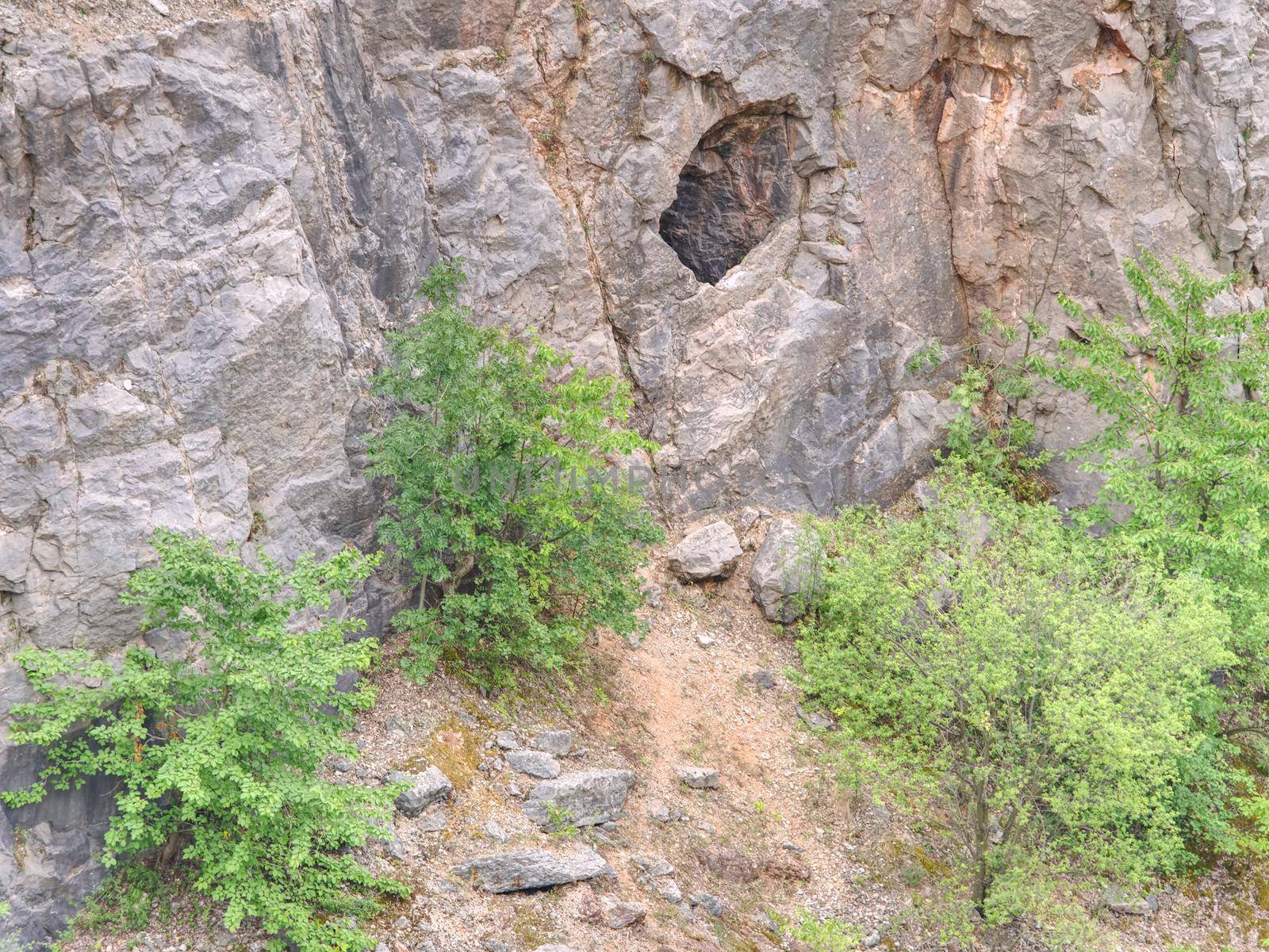 Adit in old abandoned limestone quarry Velka Amerika.  Medieval tunnel adit exposed by modern mining in the 1950s.