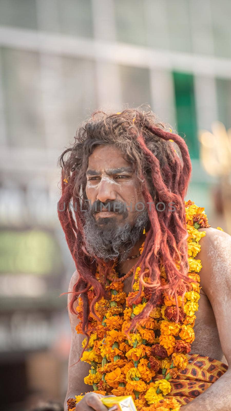 Haridwar, Uttarakhand. India- March 5, 2021- Indian sadhus coming to Kumbh Mela, Royal welcome. Sadhus sitting in rides, wearing a garland,