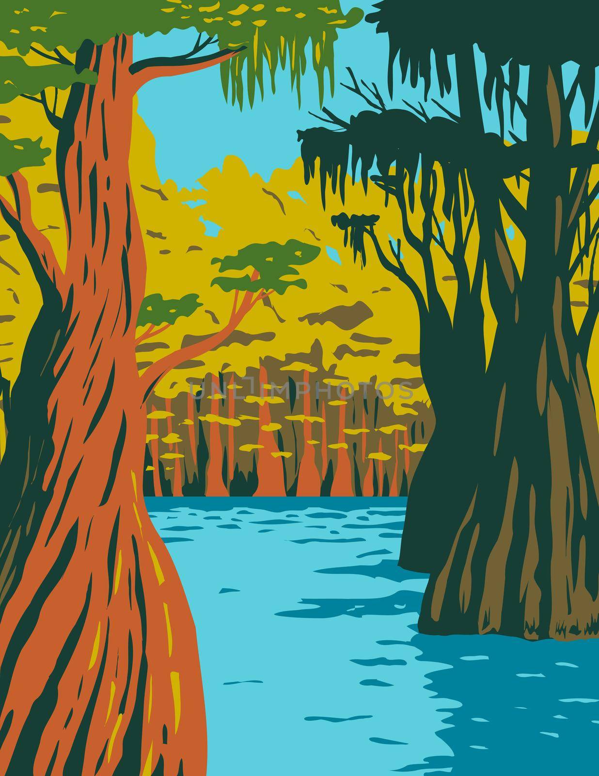 WPA poster art of bald cypress growing in the swamp of Owl Creek in Apalachicola National Forest located in the Florida Panhandle in works project administration style or federal art project style.