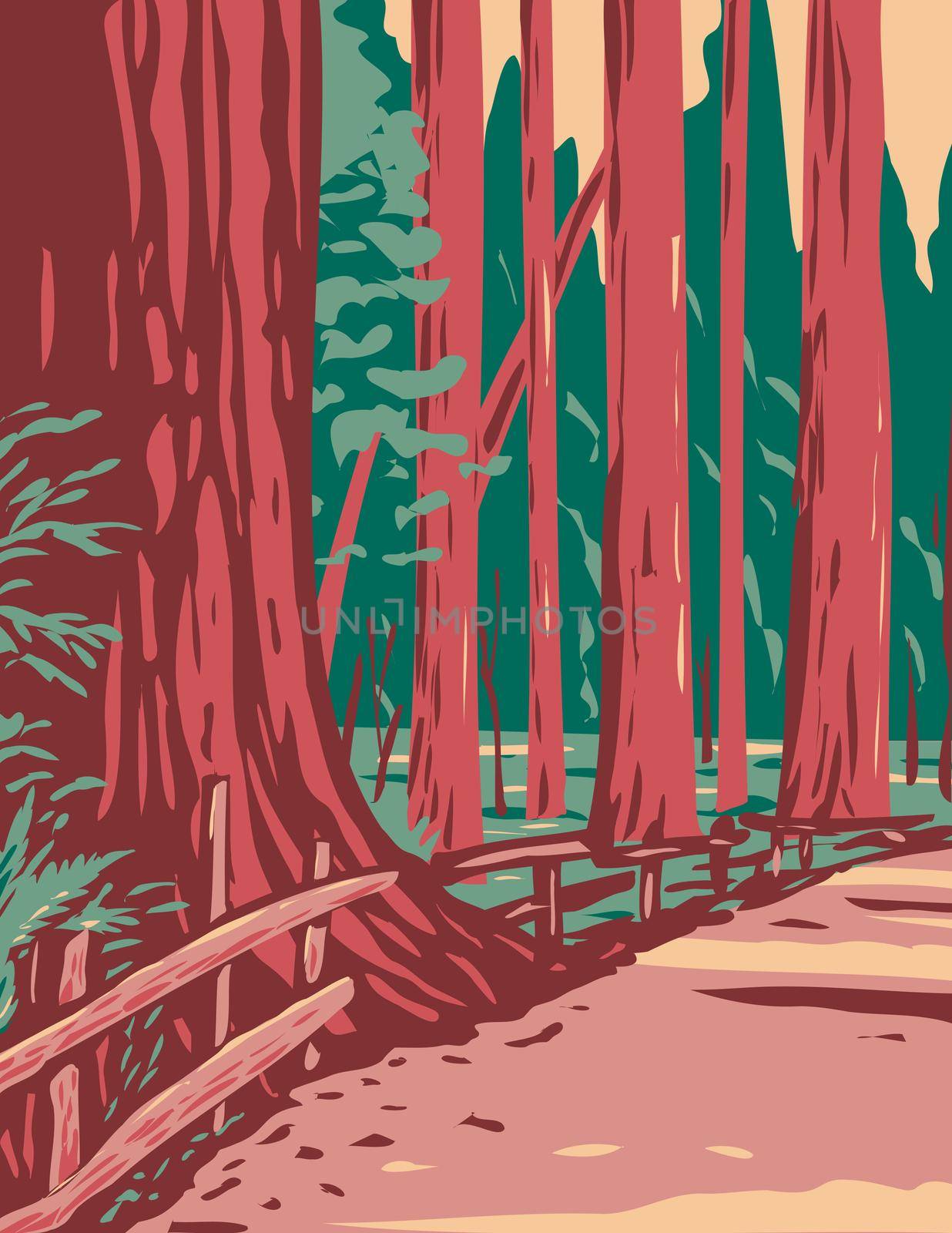 WPA Poster Art of redwoods in the Avenue of the Giants surrounded by the Humboldt Redwoods State Park located in Arcata California done in works project administration style.