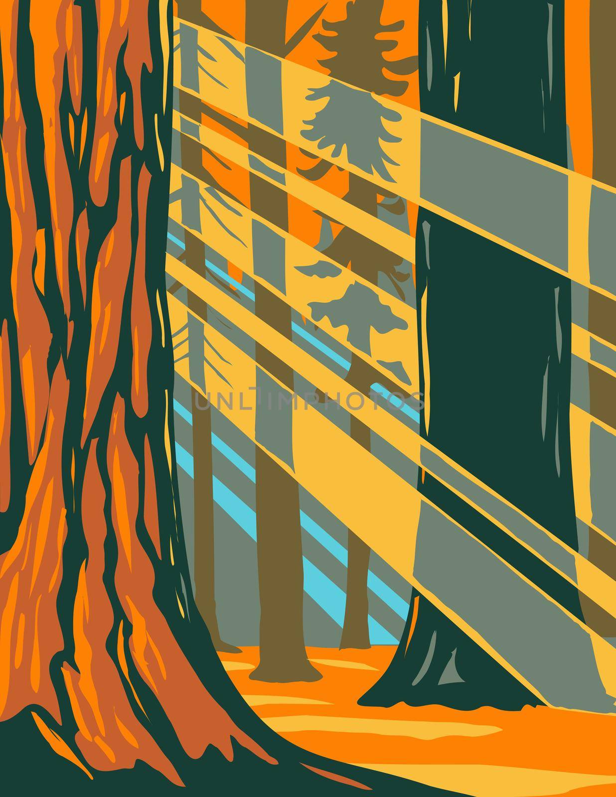 Sunlight Through the Giant Sequoia Trees of Sequoia National Park Located in Sierra Nevada California WPA Poster Art by patrimonio