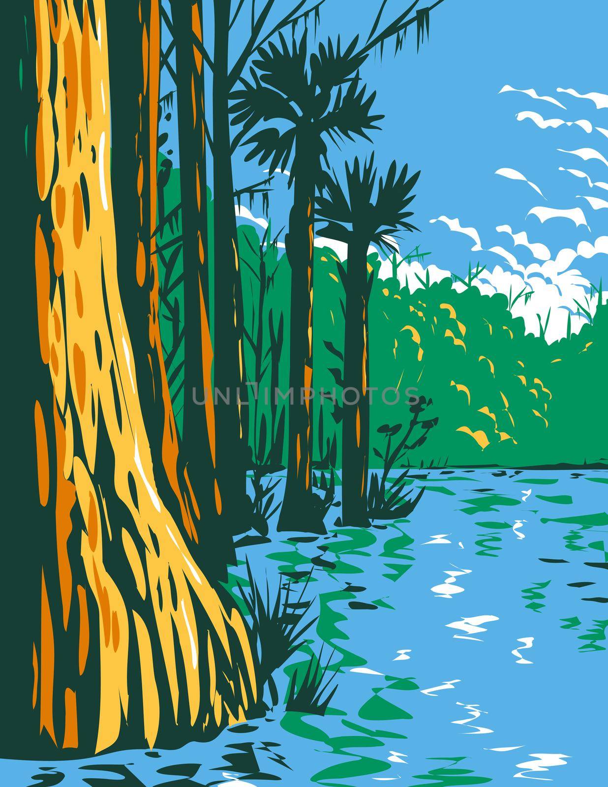 WPA Poster Art of the subtropical wetlands in Everglades National Park in the state of Florida done in works project administration style  or federal art project style.