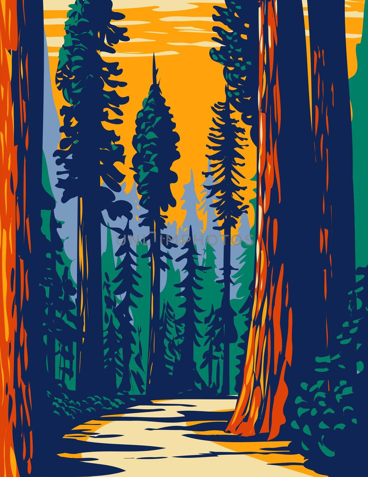 Simpson-Reed Grove of Coast Redwoods Located in Jedediah Smith State Park Part of Redwood National and State Parks in California WPA Poster Art by patrimonio