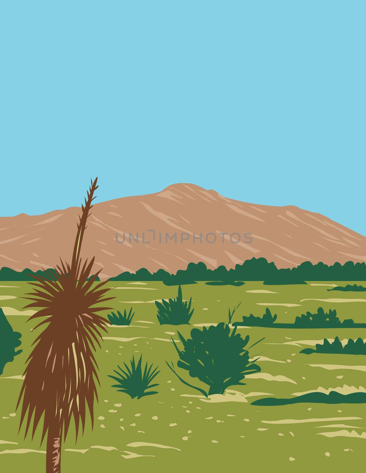 WPA Poster Art of Rincon Peak in Rincon Mountain range within Saguaro National Park, Rincon Mountain Wilderness of the Coronado National Forest in Arizona done in works project administration style.