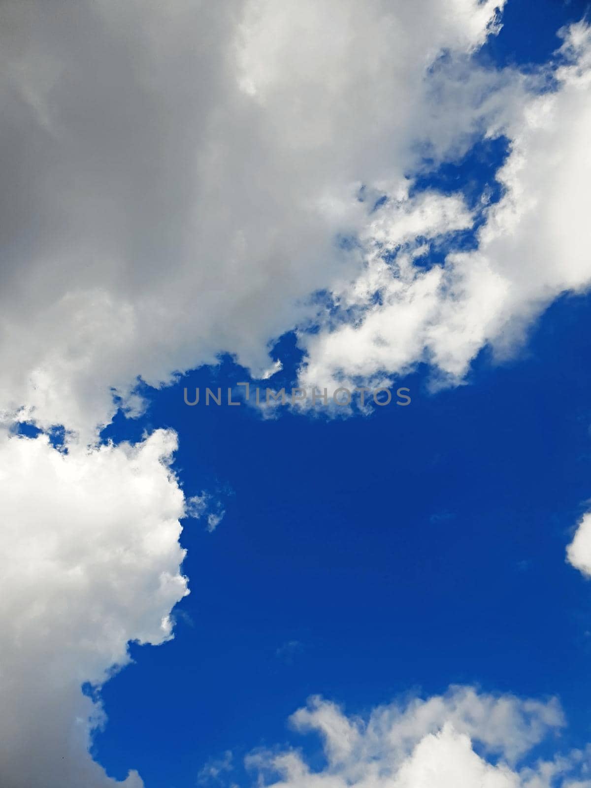 White clouds against the blue sky, vertical image oriented. White clouds on clear blue sky, bottom view. Full frame background with sky and clouds.