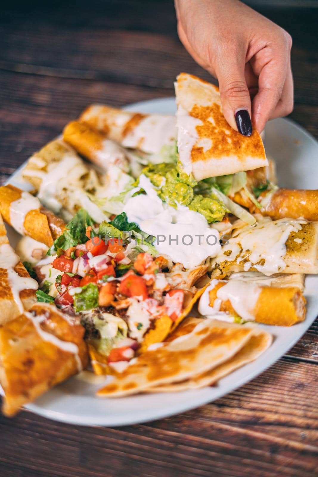 A delcious quesadillas platter by castaldostudio