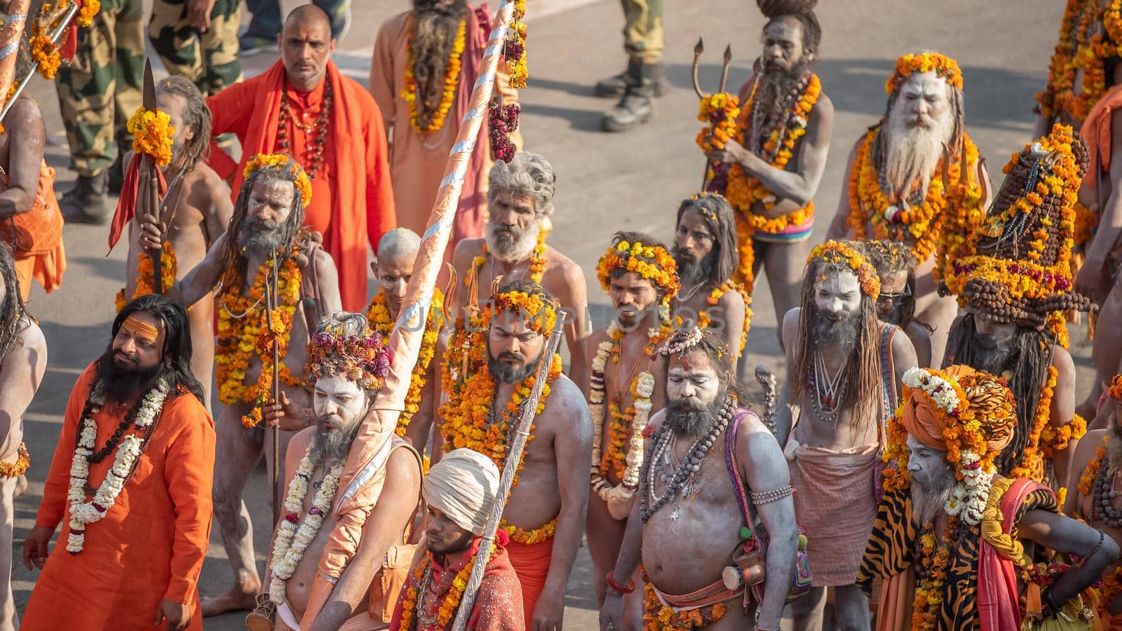 Indian sadhus coming to Kumbh Mela, Royal welcome. Sadhus sitting wearing garland by stocksvids