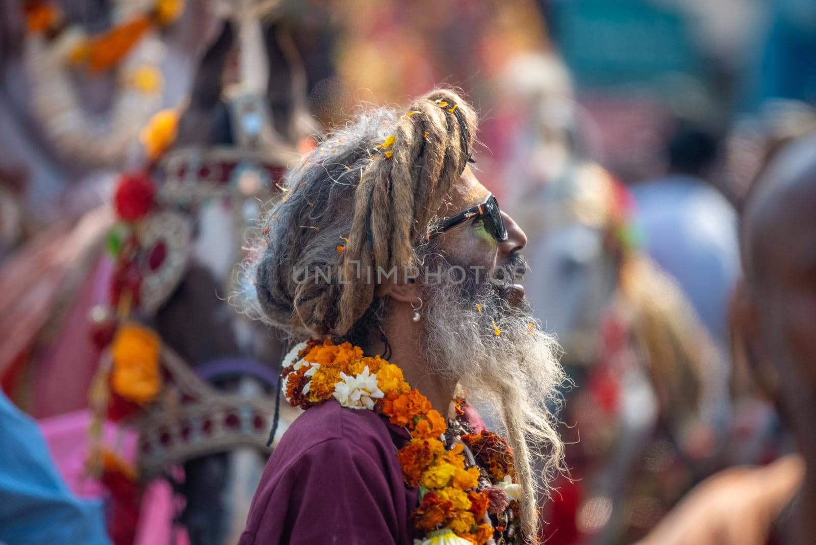 Indian sadhus coming to Kumbh Mela, Royal welcome. Sadhus sitting wearing garland by stocksvids