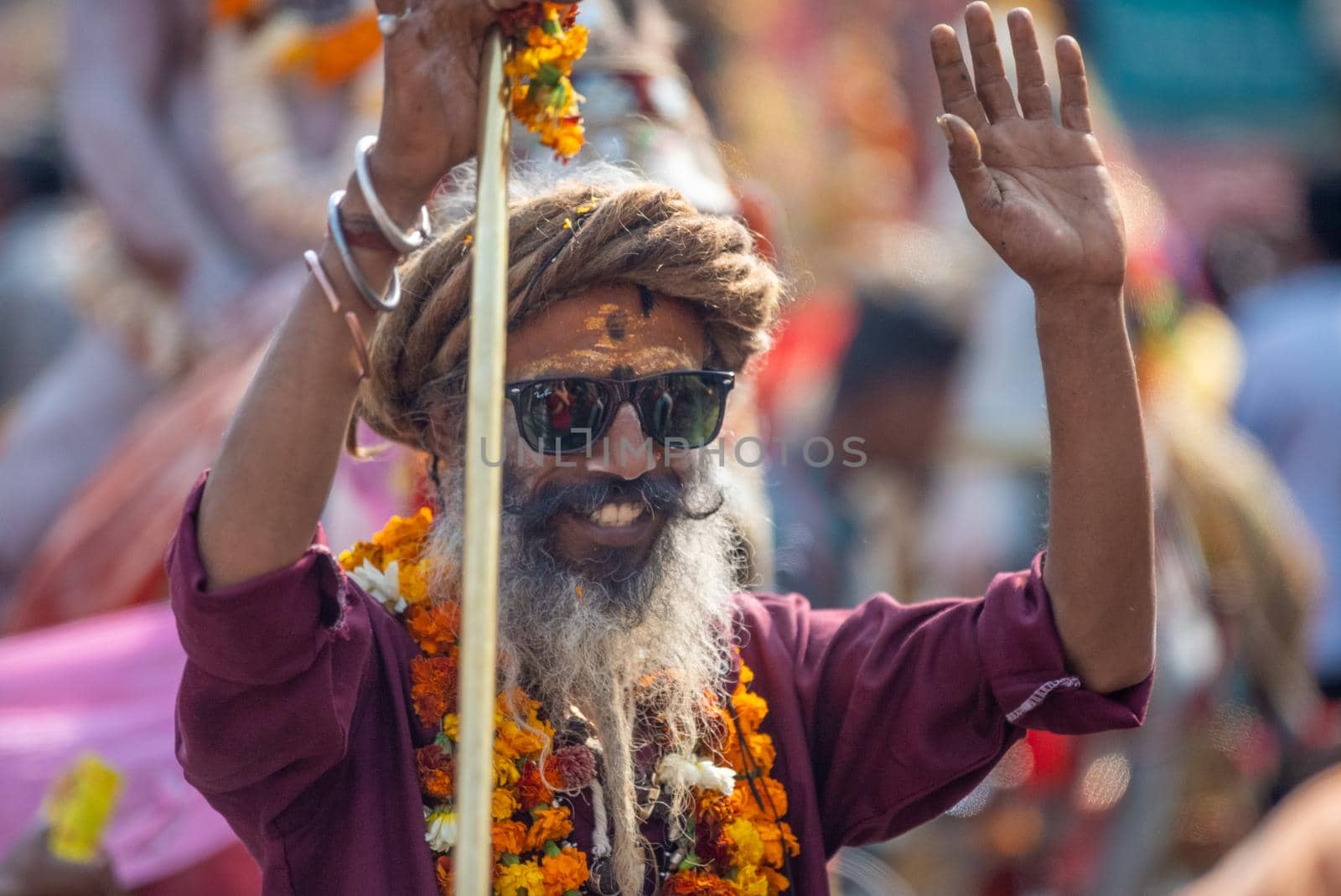 Indian sadhus coming to Kumbh Mela, Royal welcome. Sadhus sitting wearing garland by stocksvids