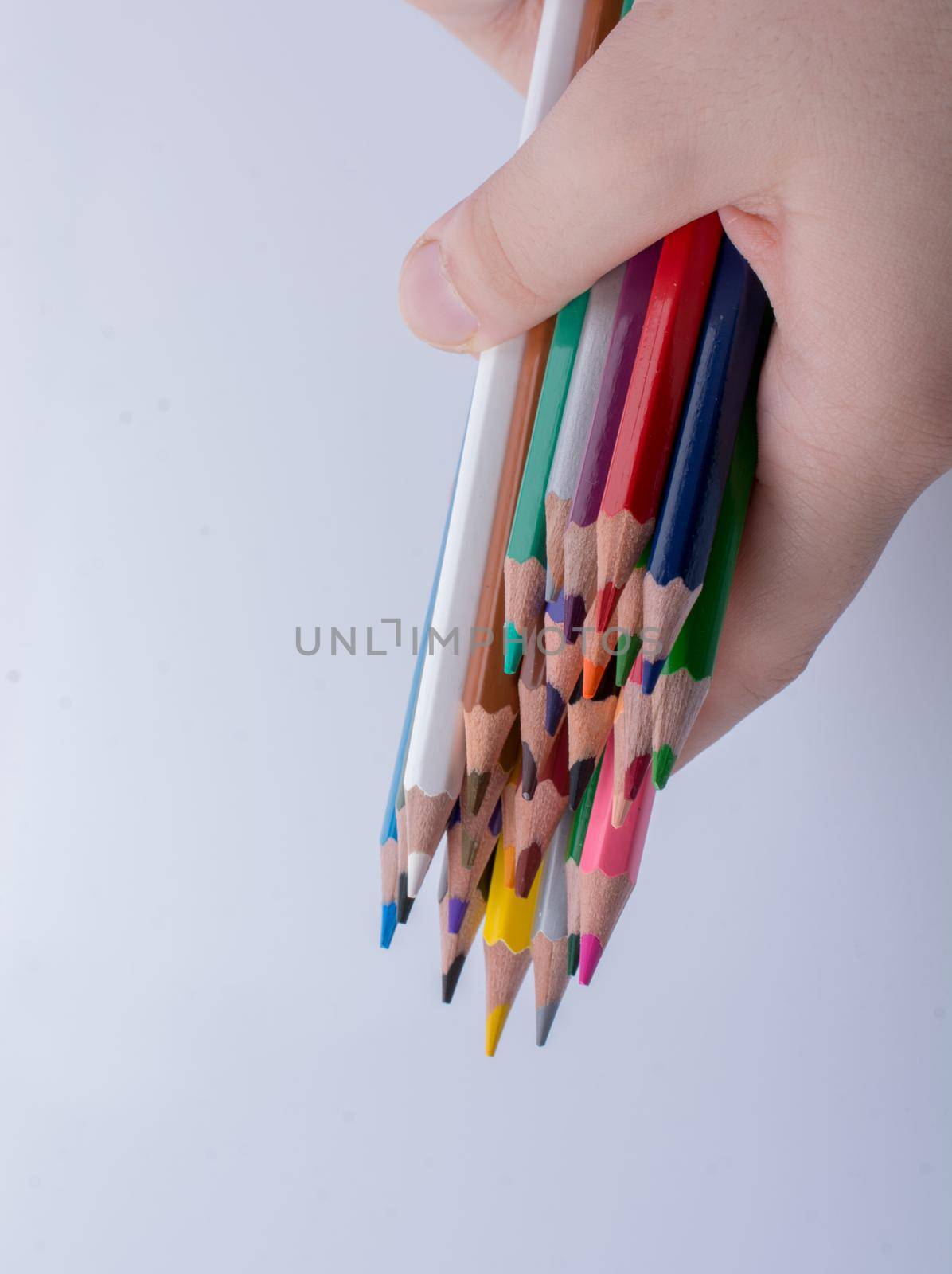 Hand holding color Pencils placed on a white background