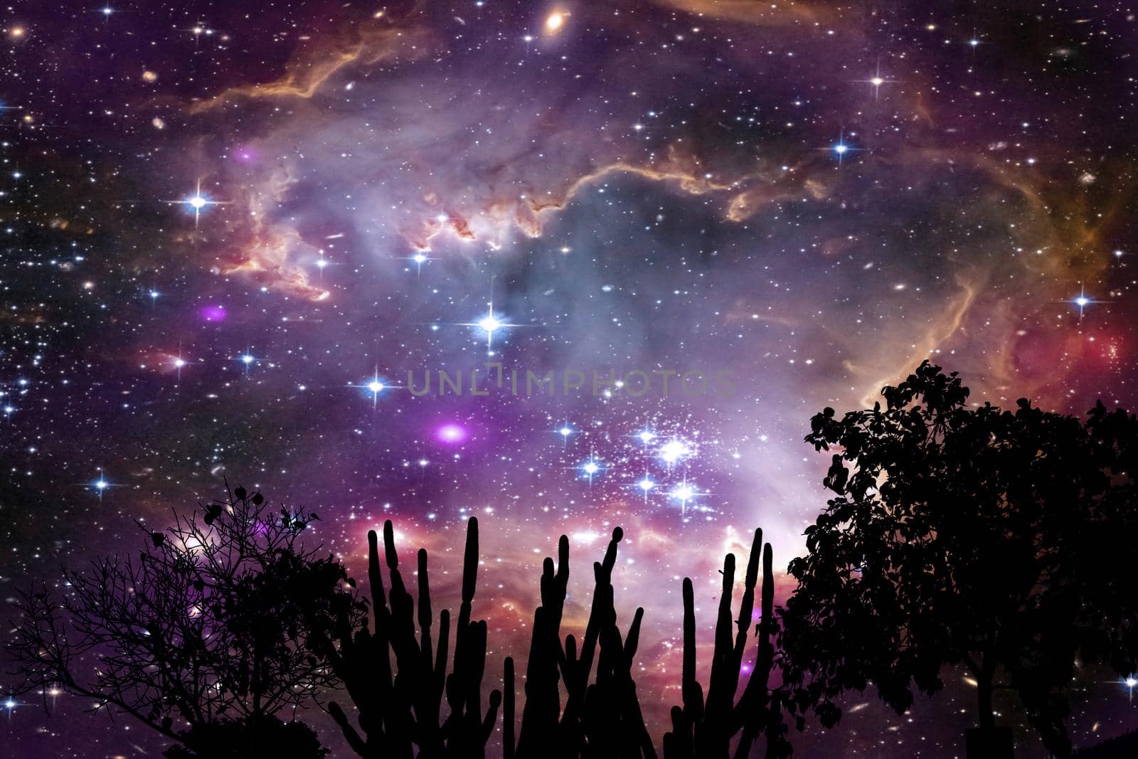 Nebula in galaxy over silhouette tree on the mountain night sky by Darkfox
