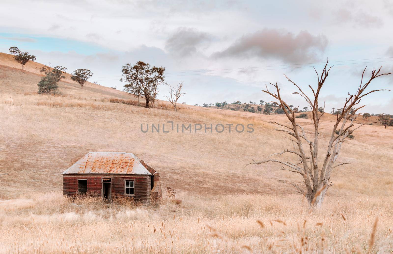 Derelict old house in outback rural Australia by lovleah