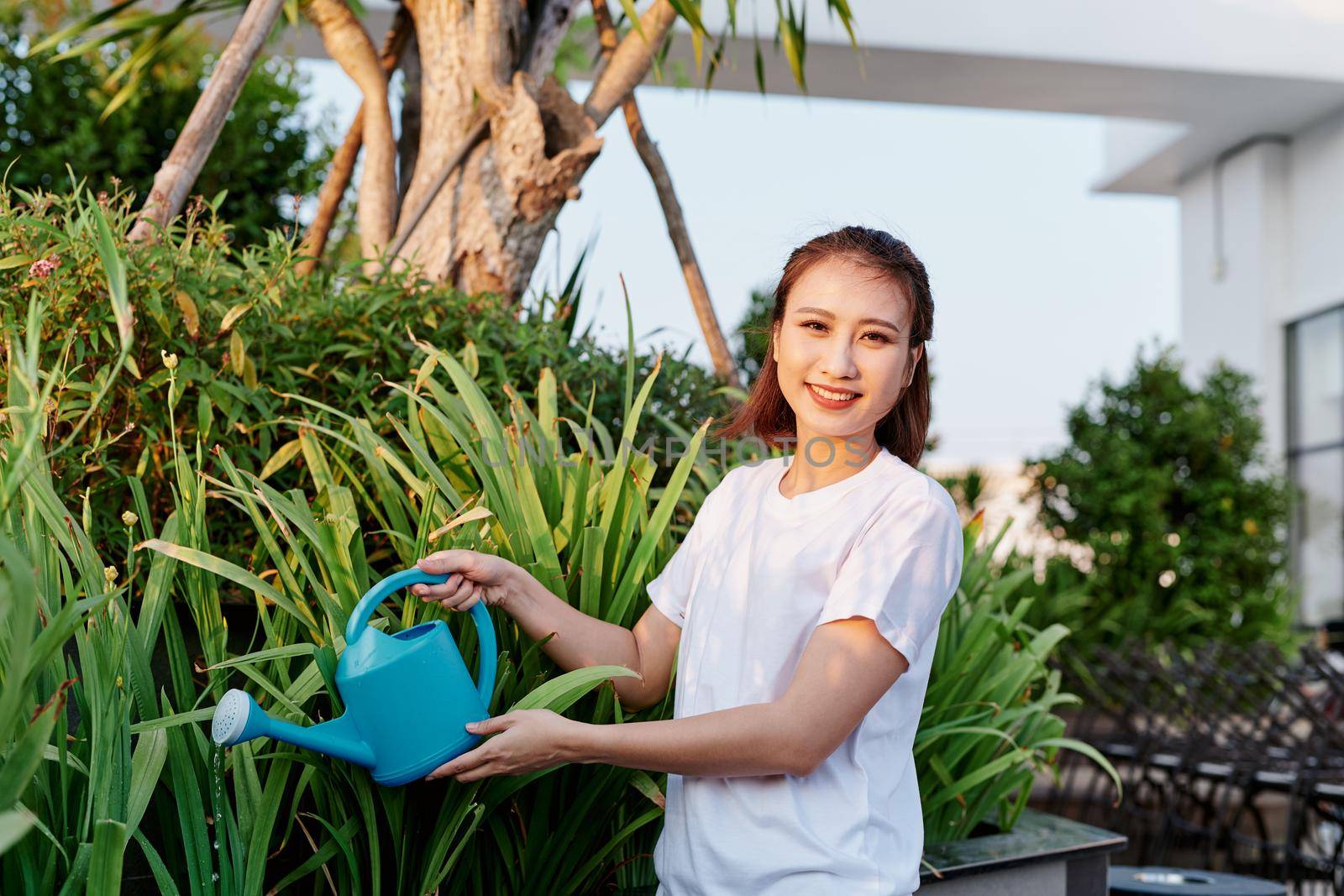 The attractive woman watering flowers, plants in her garden. by makidotvn