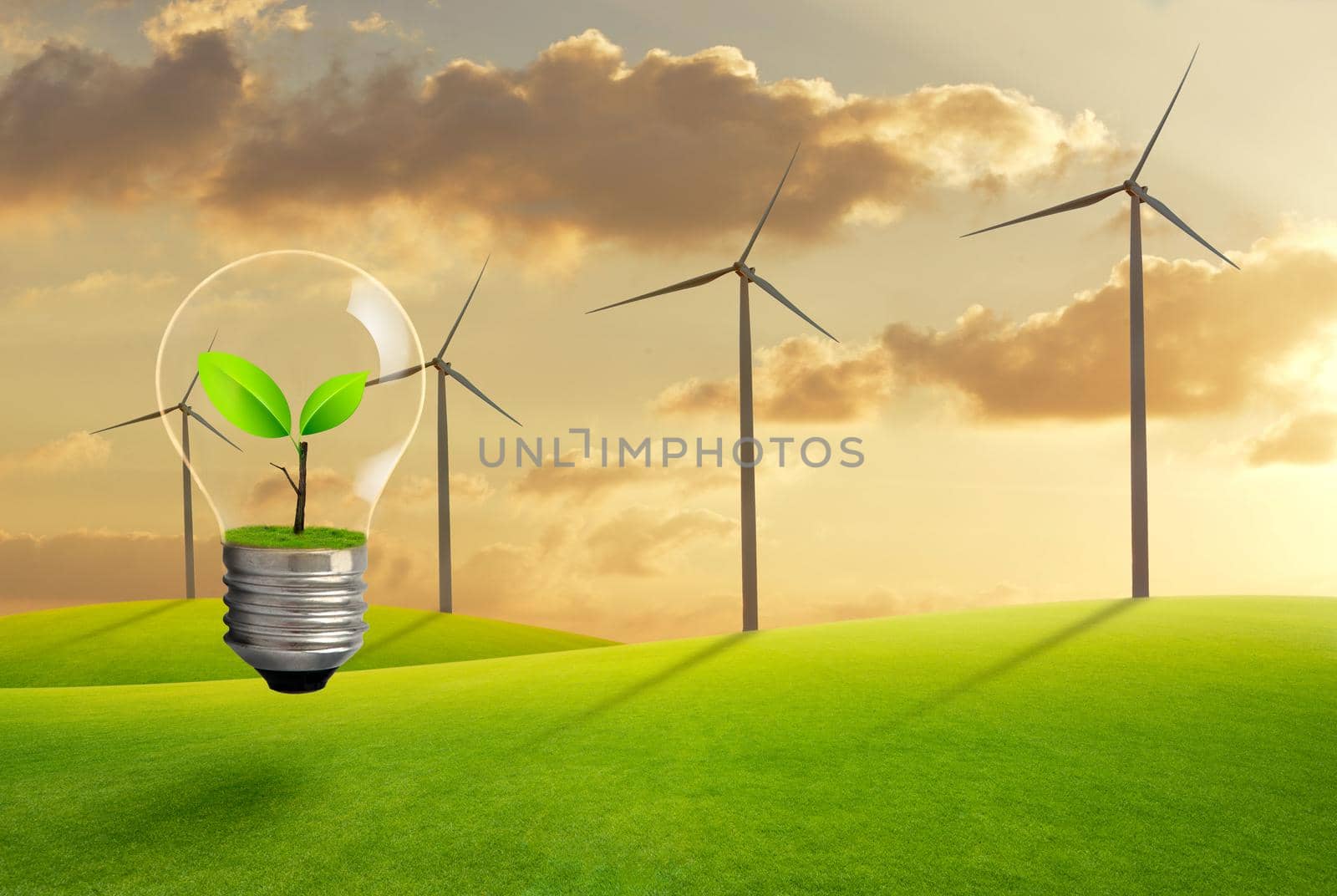 The bulb with fresh green leaf inside on the background of sunset and  wind turbines. Ecological and energy concept. by thanumporn