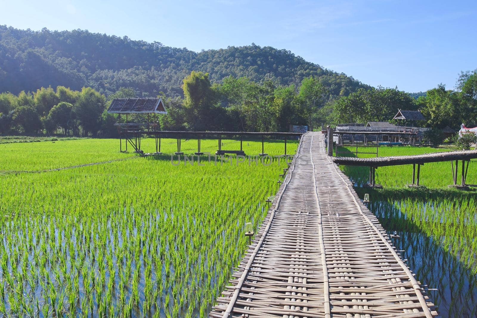 The famous travel destinations of Mae Hong Son Pha Bong Village in local Thai name is Sapankhao Kao Peu Sook. (Translation:Pha Bong Village in Mae Hong Son Province)