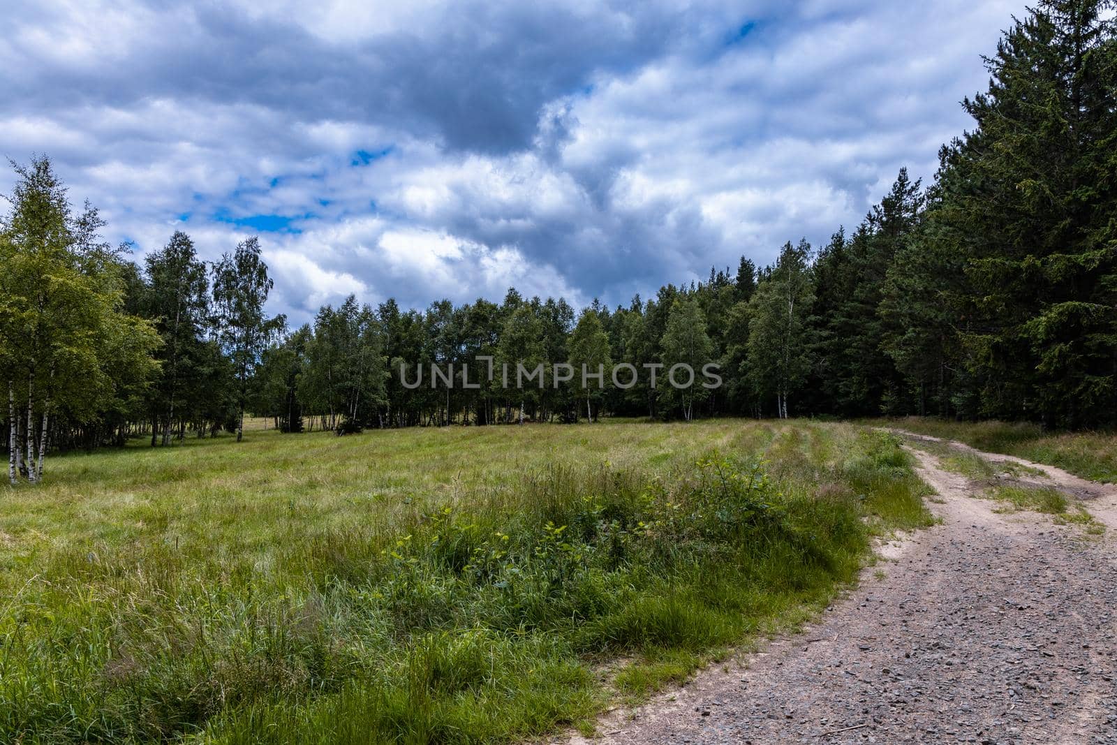 Long mountain trail in Walbrzych Mountains at cloudy day by Wierzchu