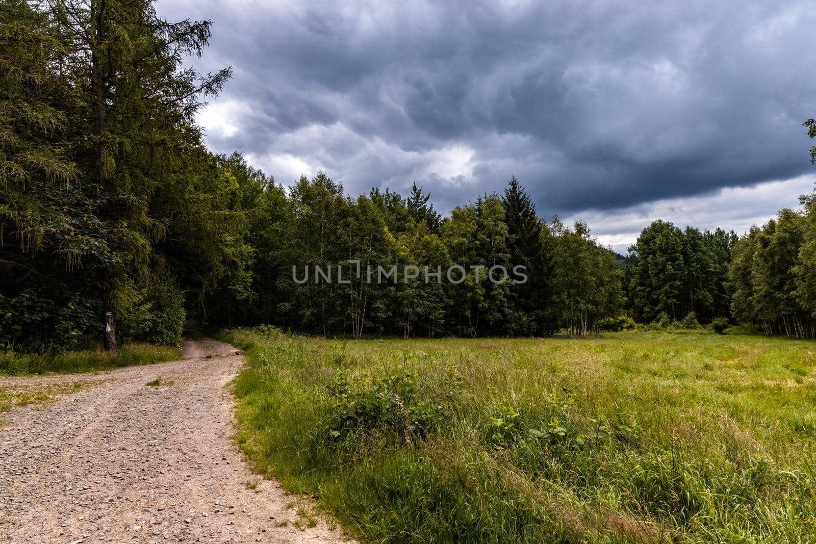 Long mountain trail in Walbrzych Mountains at cloudy day by Wierzchu